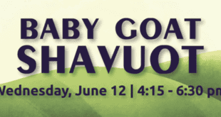 Celebrate New Life at the Milk and Honey Farm at Baby Goat Shavuot!